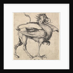 Griffin, ca. 1435-1491 by Martin Schongauer
