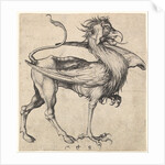 Griffin, ca. 1435-1491 by Martin Schongauer