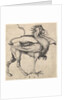 Griffin, ca. 1435-1491 by Martin Schongauer