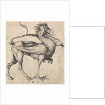 Griffin, ca. 1435-1491 by Martin Schongauer
