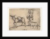 The Miller, ca. 1435-1491 by Martin Schongauer