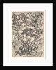Ornament with Owl Mocked by Day Birds, ca. 1435-1491 by Martin Schongauer