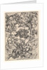 Ornament with Owl Mocked by Day Birds, ca. 1435-1491 by Martin Schongauer