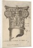 Composite capital with measurements, ca. 1537 by Master GA