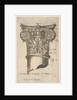 Composite capital with measurements, ca. 1537 by Master GA