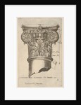 Composite capital with measurements, ca. 1537 by Master GA