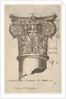 Composite capital with measurements, ca. 1537 by Master GA
