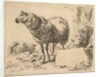 from The Set of Sheep by Nicolaes Berchem