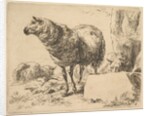 from The Set of Sheep by Nicolaes Berchem