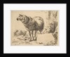 from The Set of Sheep by Nicolaes Berchem