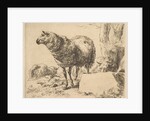 from The Set of Sheep by Nicolaes Berchem
