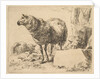 from The Set of Sheep by Nicolaes Berchem