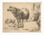 from The Set of Sheep by Nicolaes Berchem