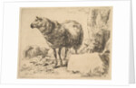 from The Set of Sheep by Nicolaes Berchem