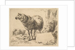 from The Set of Sheep by Nicolaes Berchem