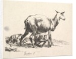 Sheep with Lamb Nursing by Nicolaes Berchem