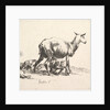 Sheep with Lamb Nursing by Nicolaes Berchem