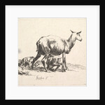 Sheep with Lamb Nursing by Nicolaes Berchem