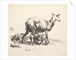 Sheep with Lamb Nursing by Nicolaes Berchem