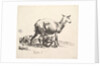 Sheep with Lamb Nursing by Nicolaes Berchem