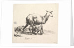 Sheep with Lamb Nursing by Nicolaes Berchem