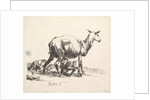 Sheep with Lamb Nursing by Nicolaes Berchem