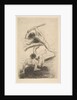 Cain and Abel, 1886 by Odilon Redon