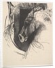 The Charger, 1894 by Odilon Redon