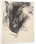 The Charger, 1894 by Odilon Redon