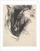 The Charger, 1894 by Odilon Redon
