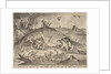 Big Fish Eat Little Fish, 1557 by Pieter van der Heyden/Pieter Bruegel the Elder
