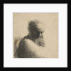 Bust of an Old Bearded Man Looking Down, Three-Quarters Right, 1631 by Rembrandt Harmensz van Rijn