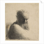 Bust of an Old Bearded Man Looking Down, Three-Quarters Right, 1631 by Rembrandt Harmensz van Rijn