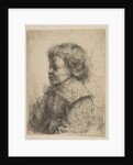 Portrait of a Boy, in Profile, 1641 by Rembrandt Harmensz van Rijn