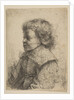 Portrait of a Boy, in Profile, 1641 by Rembrandt Harmensz van Rijn