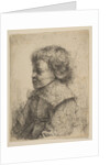 Portrait of a Boy, in Profile, 1641 by Rembrandt Harmensz van Rijn
