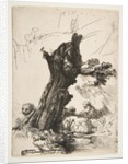 St. Jerome beside a Pollard Willow, 1648 by Rembrandt Harmensz van Rijn