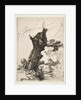 St. Jerome beside a Pollard Willow, 1648 by Rembrandt Harmensz van Rijn