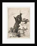 St. Jerome beside a Pollard Willow, 1648 by Rembrandt Harmensz van Rijn