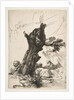 St. Jerome beside a Pollard Willow, 1648 by Rembrandt Harmensz van Rijn