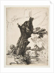 St. Jerome beside a Pollard Willow, 1648 by Rembrandt Harmensz van Rijn
