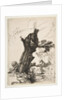 St. Jerome beside a Pollard Willow, 1648 by Rembrandt Harmensz van Rijn