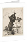 St. Jerome beside a Pollard Willow, 1648 by Rembrandt Harmensz van Rijn