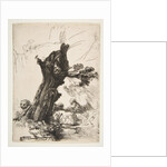 St. Jerome beside a Pollard Willow, 1648 by Rembrandt Harmensz van Rijn