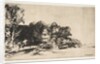Clump of Trees with a Vista, 1652 by Rembrandt Harmensz van Rijn