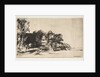 Clump of Trees with a Vista, 1652 by Rembrandt Harmensz van Rijn