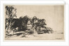 Clump of Trees with a Vista, 1652 by Rembrandt Harmensz van Rijn