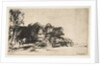 Clump of Trees with a Vista, 1652 by Rembrandt Harmensz van Rijn