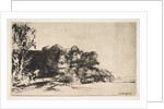 Clump of Trees with a Vista, 1652 by Rembrandt Harmensz van Rijn