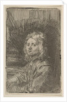 Young Man, Half-Length, 1620-69 by Workshop of Rembrandt